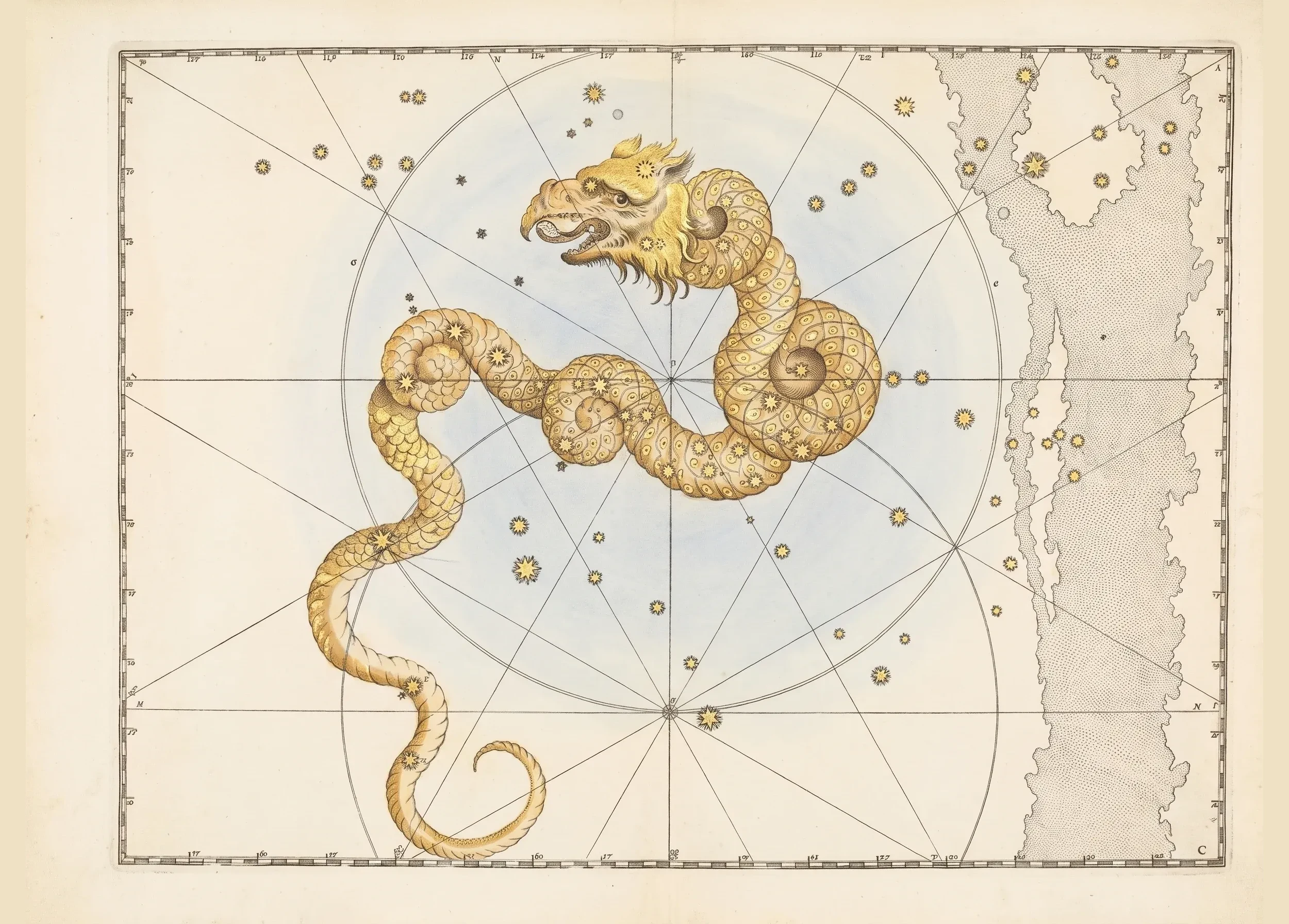 Draco, the Dragon — The constellation Draco, After Bayer / Hevelius / Flamsteed, engraved 16th–18th c.