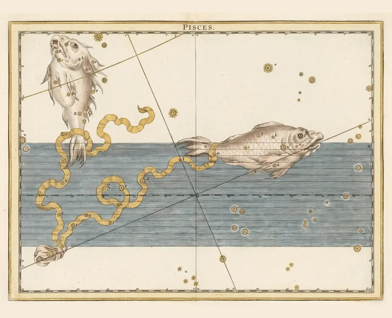 Pisces, the Fishes — The constellation Pisces, Johann Bayer, 1655 edition of 1603