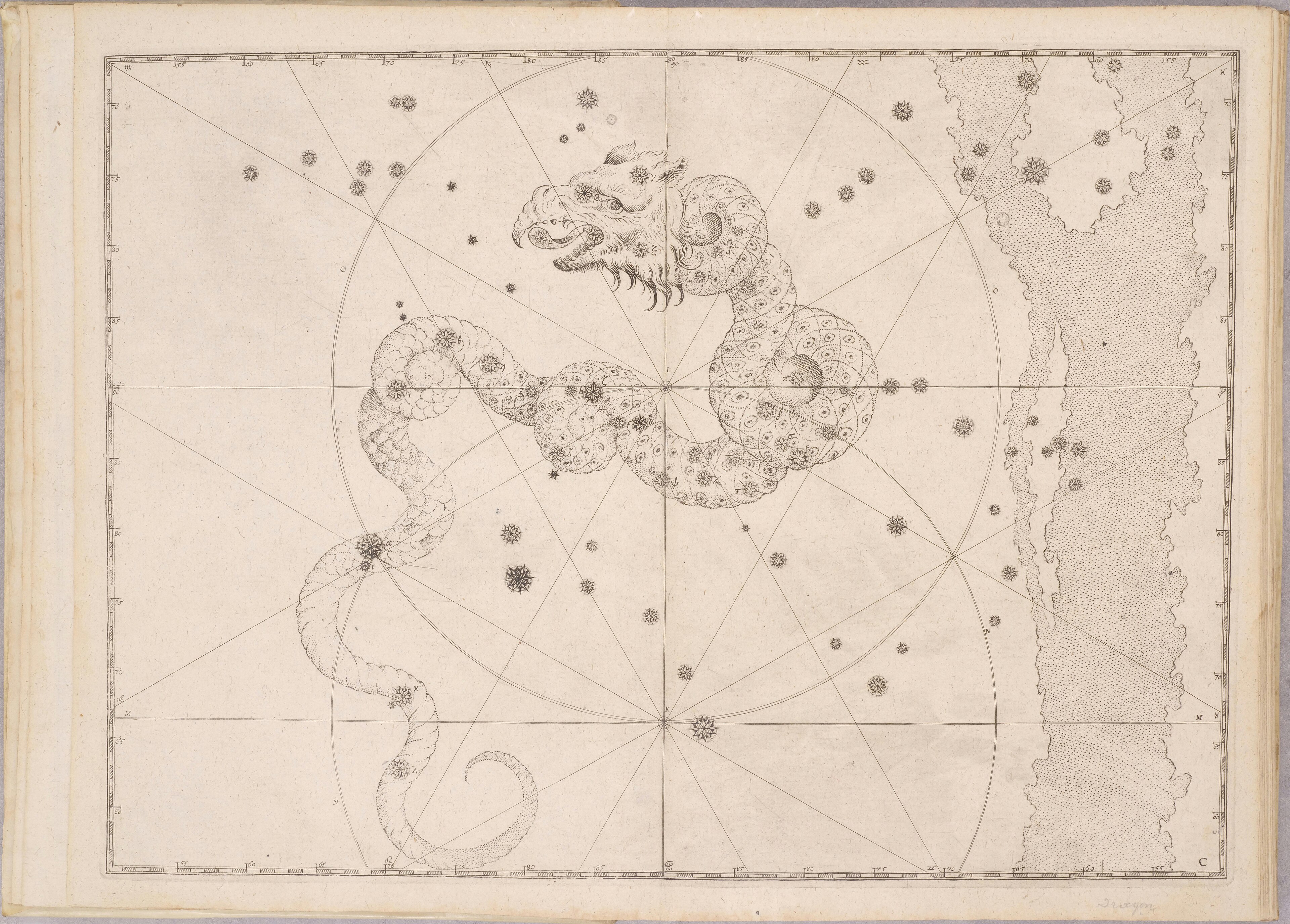 Draco, the Dragon — The constellation Draco, After Bayer / Hevelius / Flamsteed, engraved 16th–18th c.