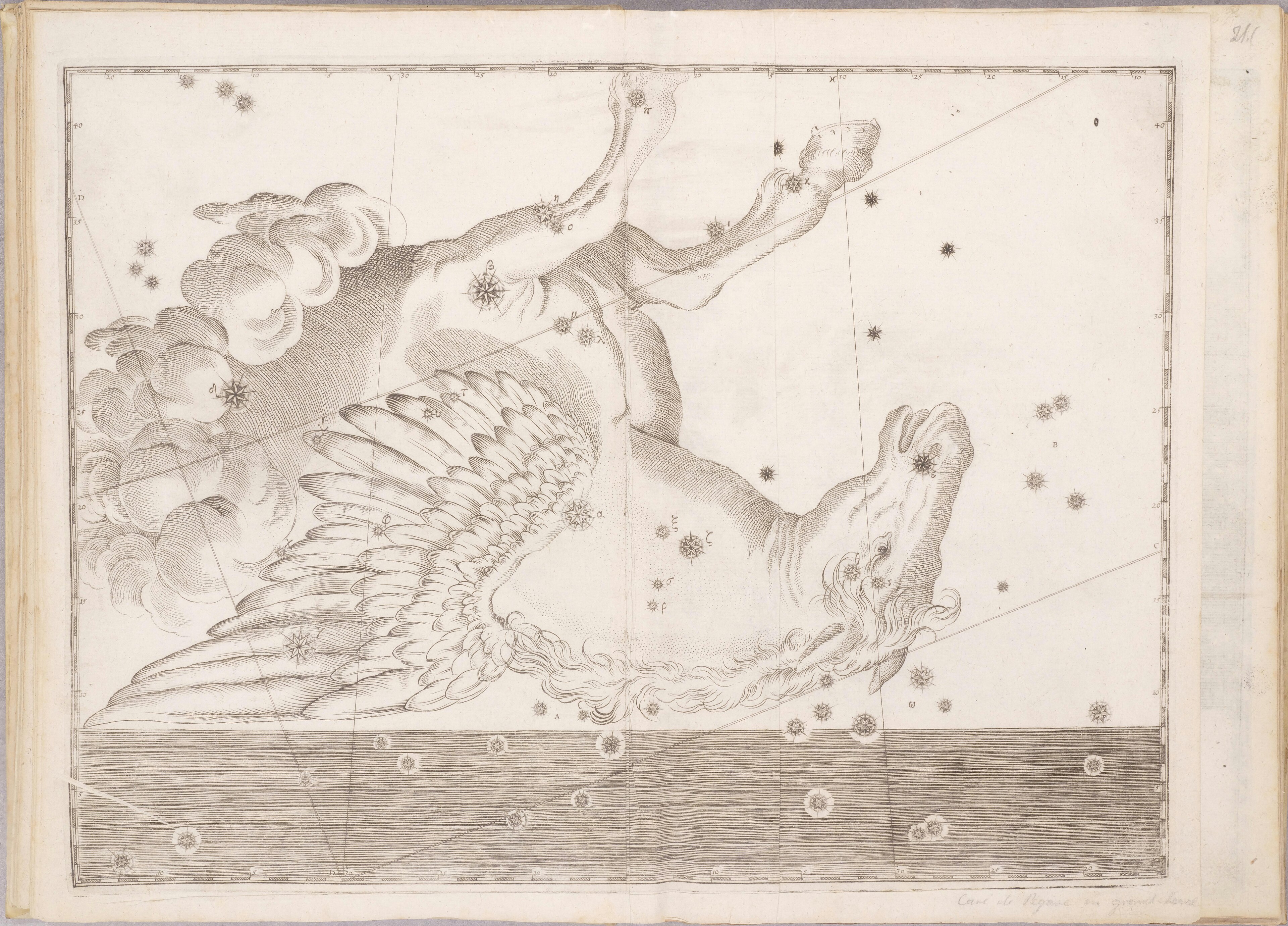 Pegasus, the Winged Horse — The constellation Pegasus, After Bayer / Hevelius / Flamsteed, engraved 16th–18th c.