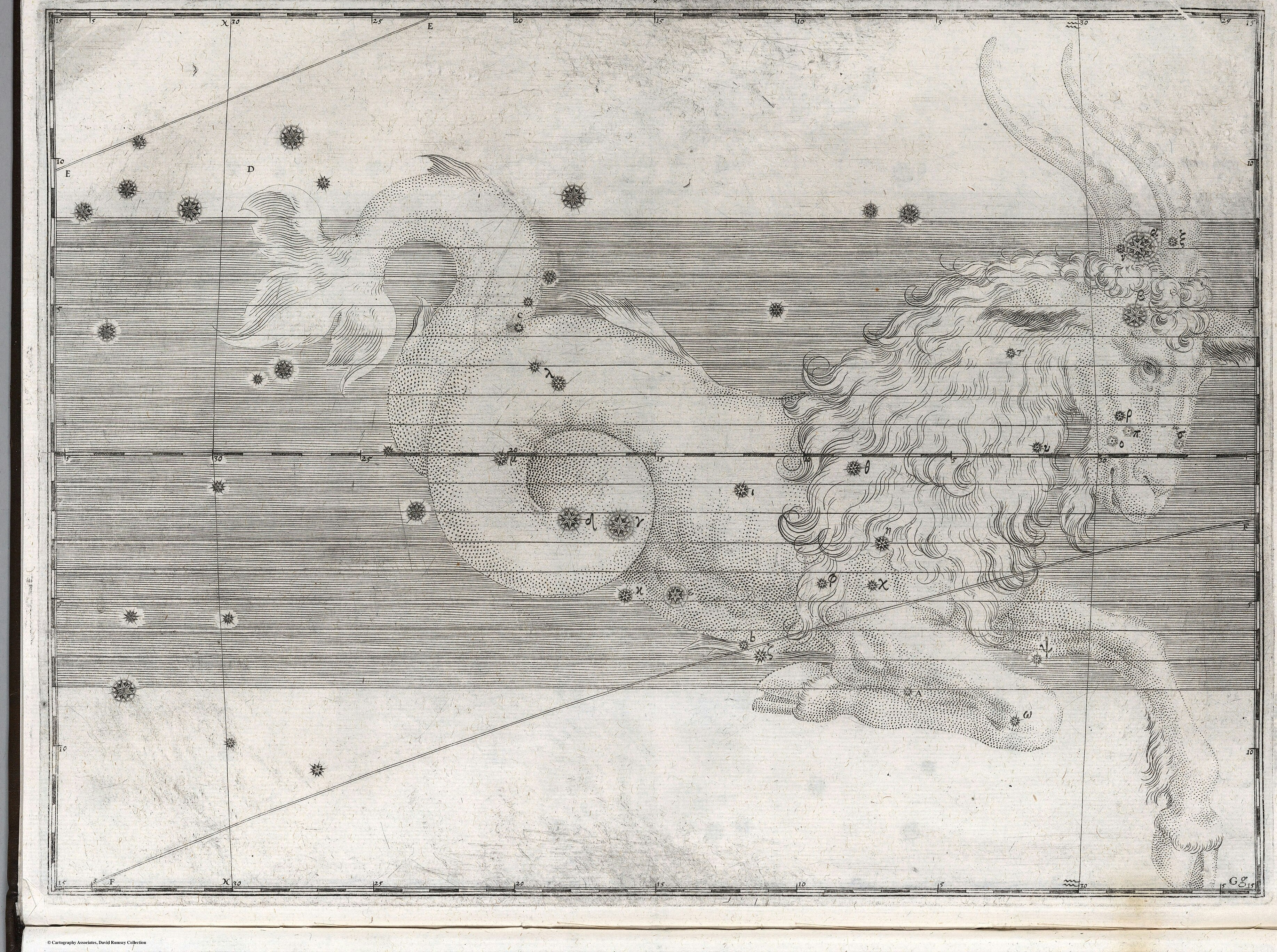Capricorn, the Sea-Goat — The constellation Capricornus, Johann Bayer, 1655 edition of 1603