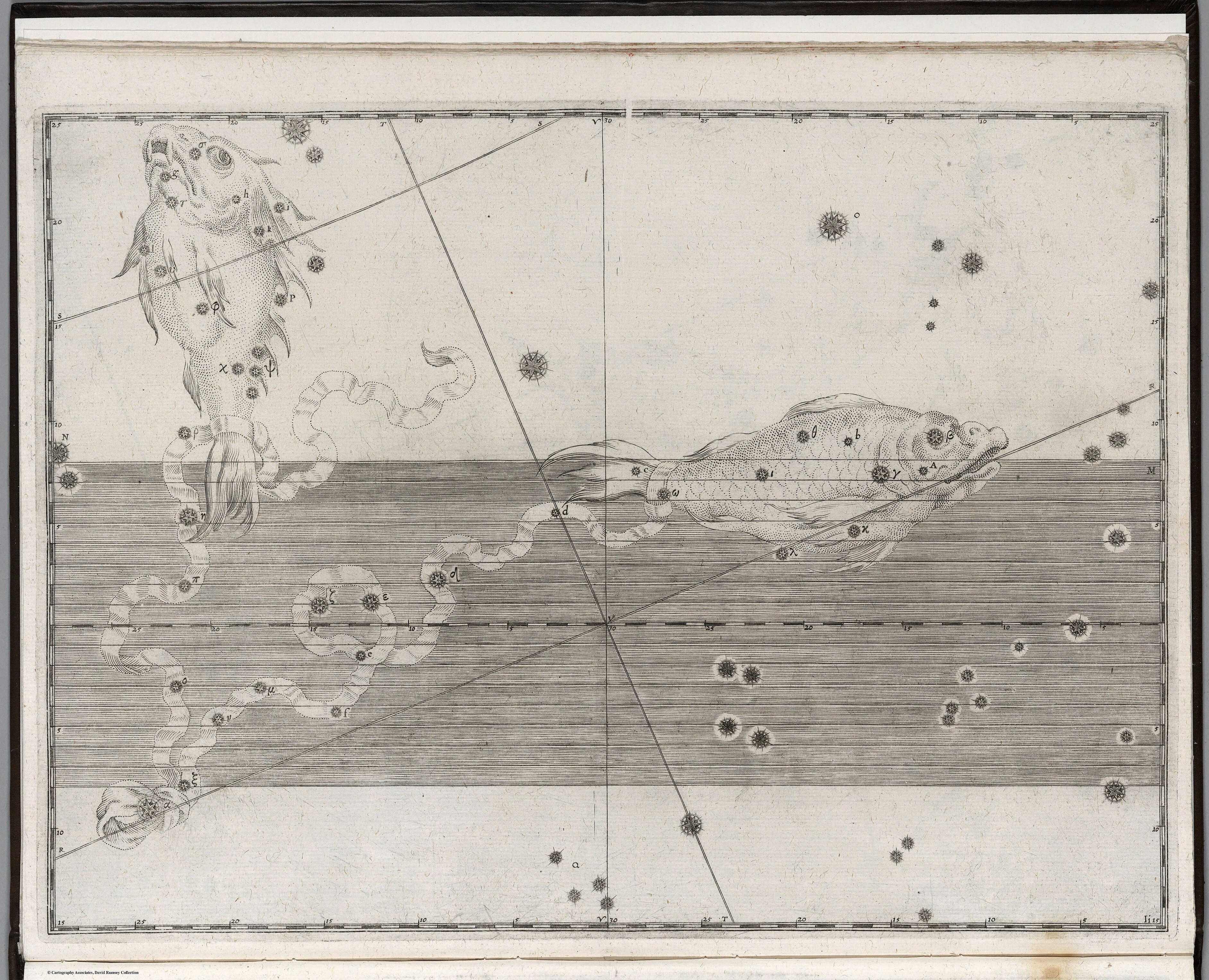 Pisces, the Fishes — The constellation Pisces, Johann Bayer, 1655 edition of 1603
